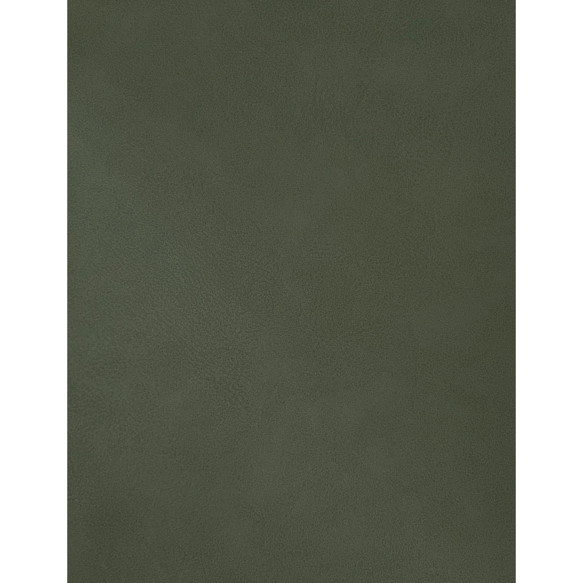 Hudsen Trundle Bed - Green 7
