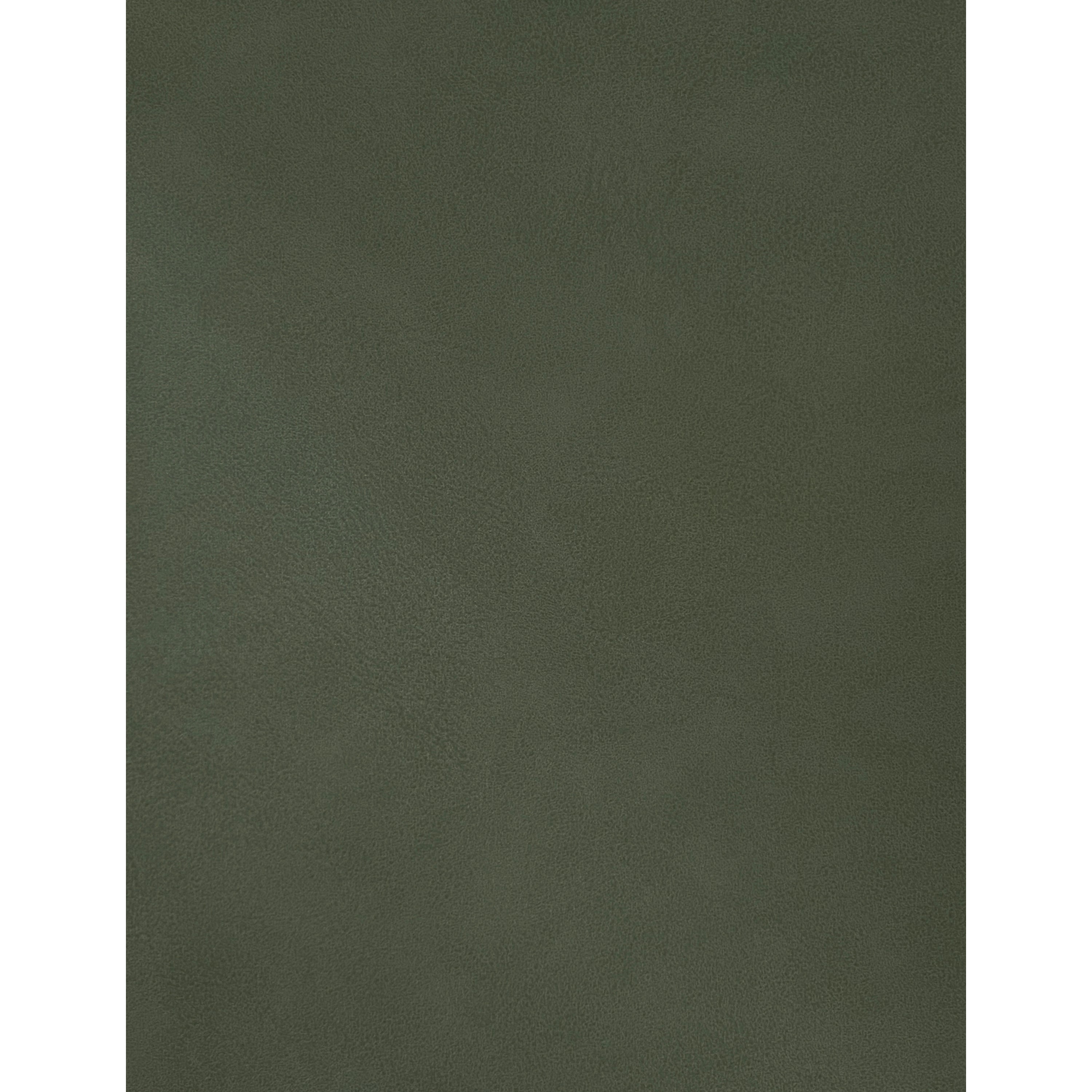 Hudsen Trundle Bed - Green 7