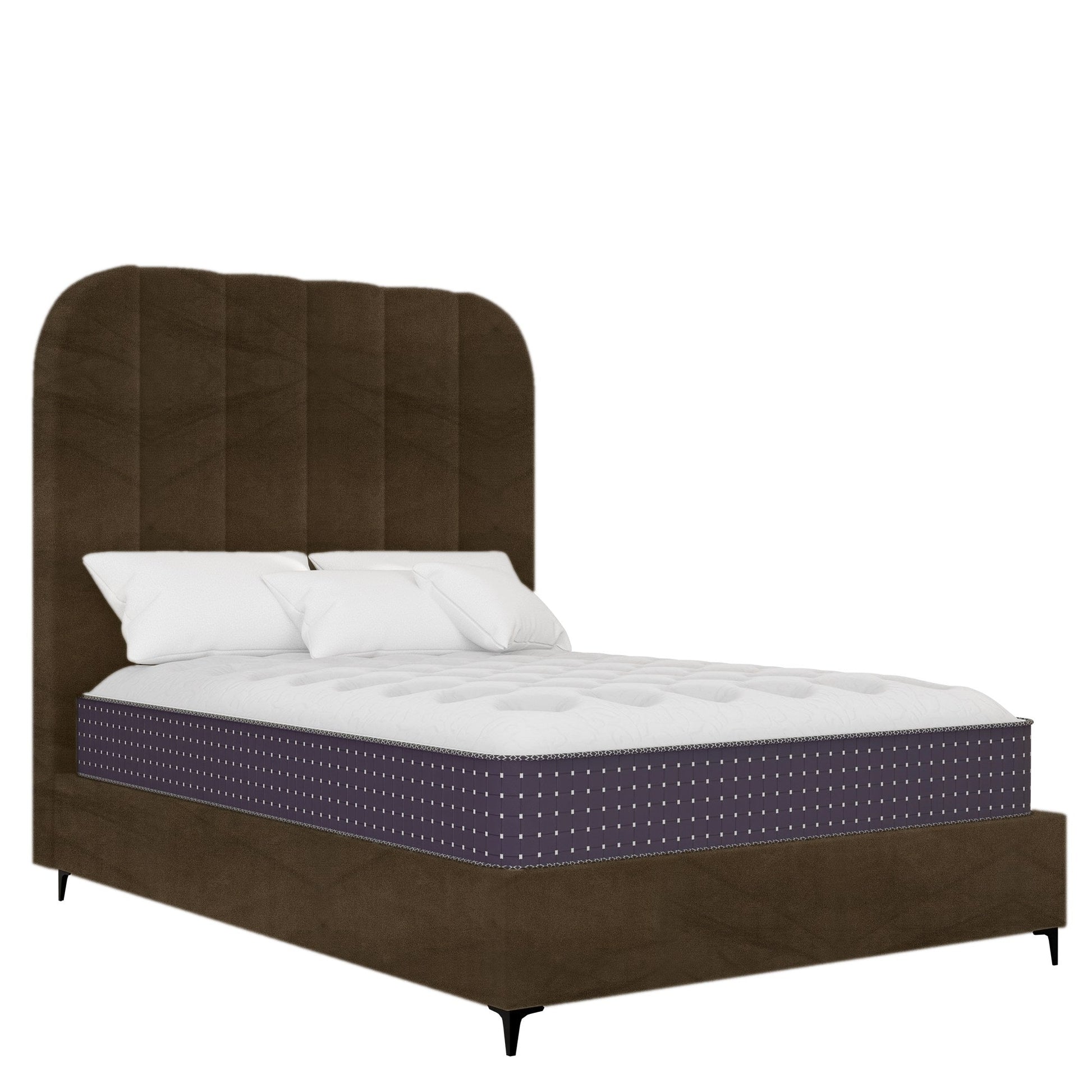 Signature - Rounded - Brown Velvet #25