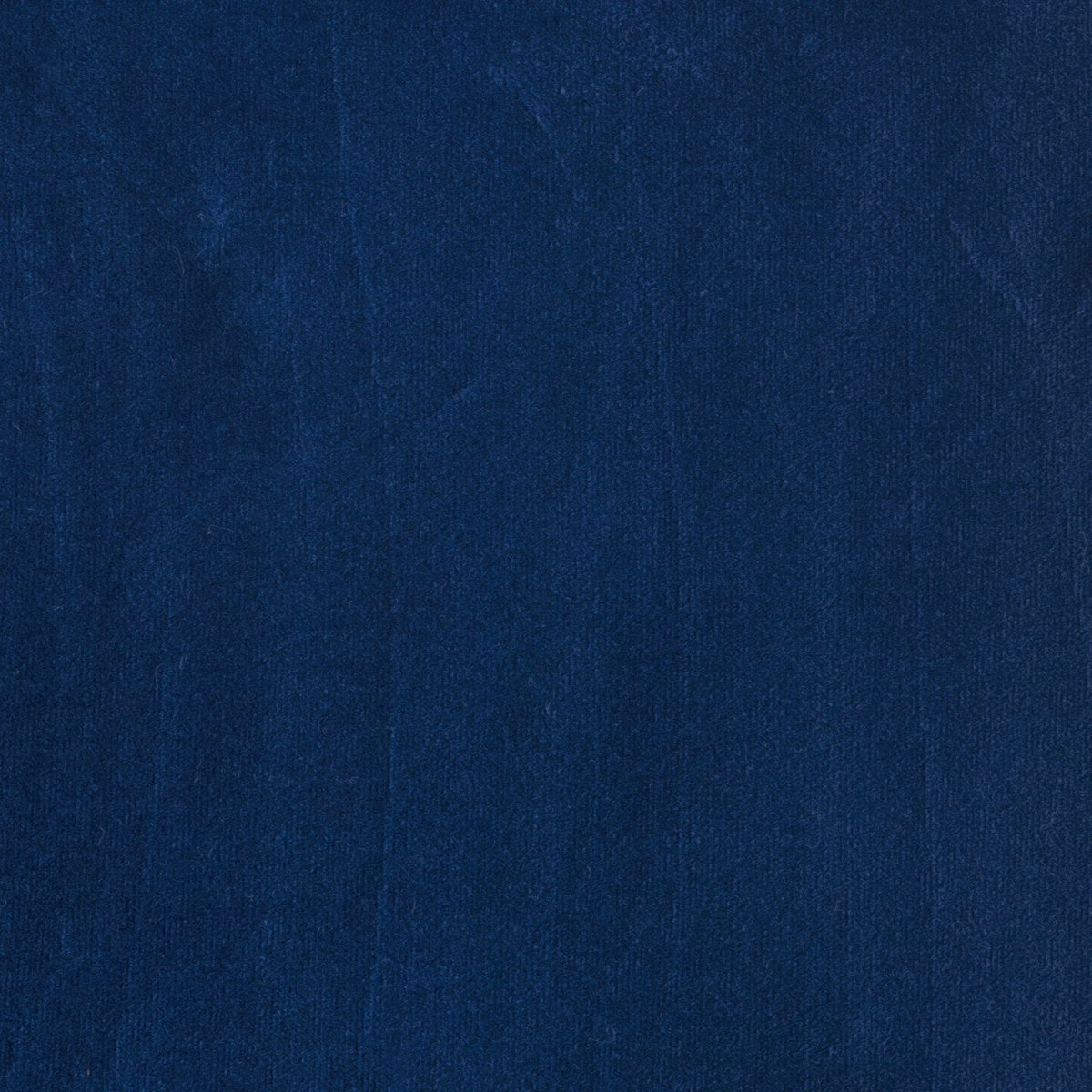 Blue Velvet #60