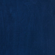 Blue Velvet #60