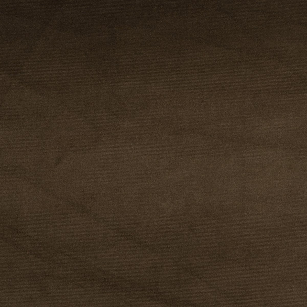 Brown Velvet #25