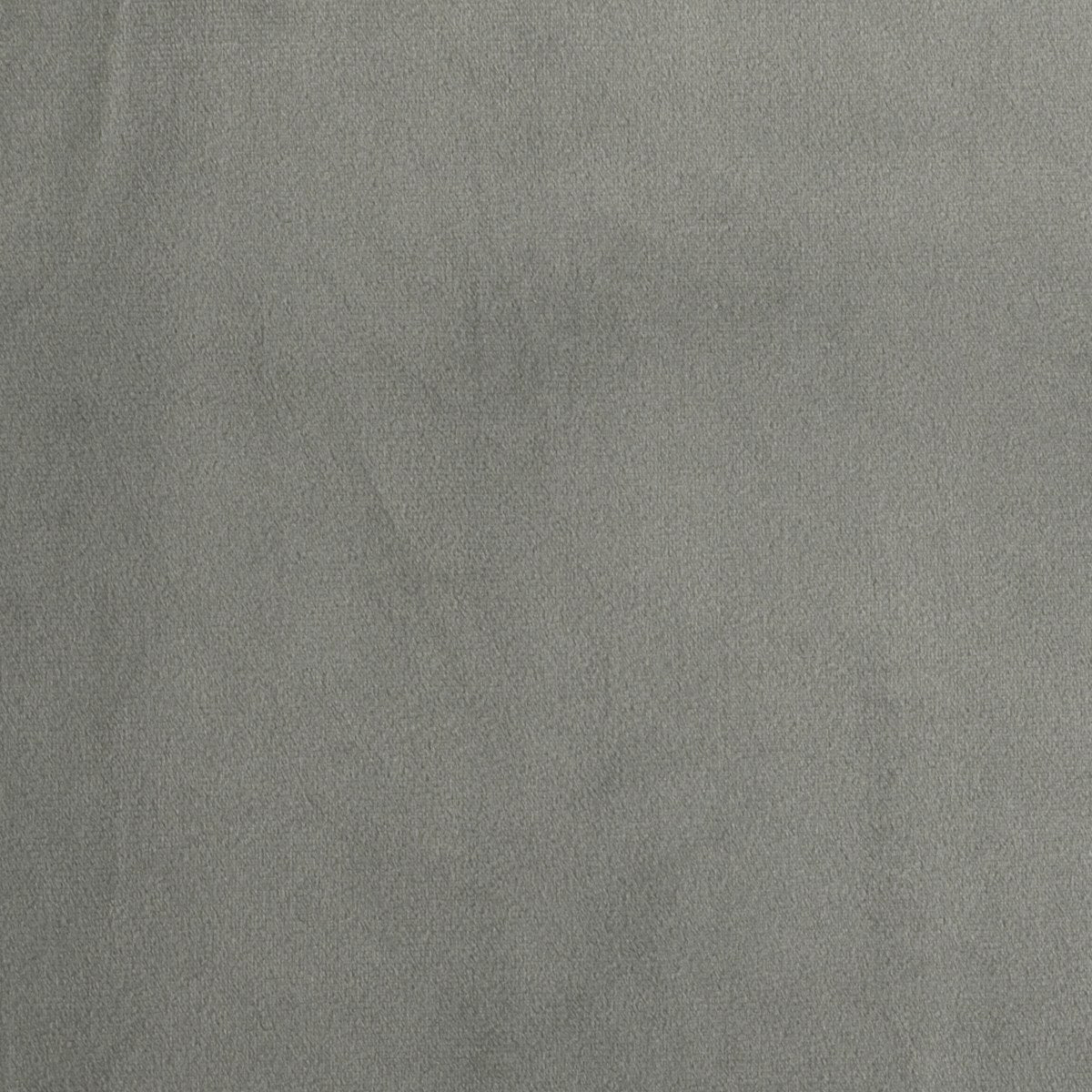 Grey Velvet #9