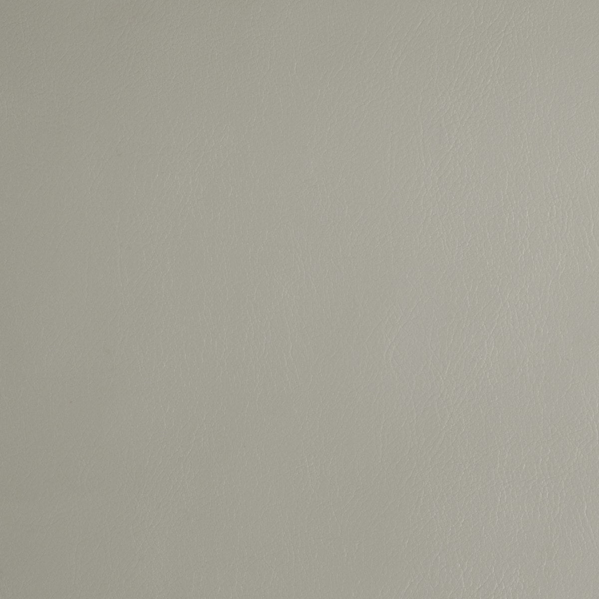 Light Grey Leather