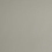 Light Grey Leather