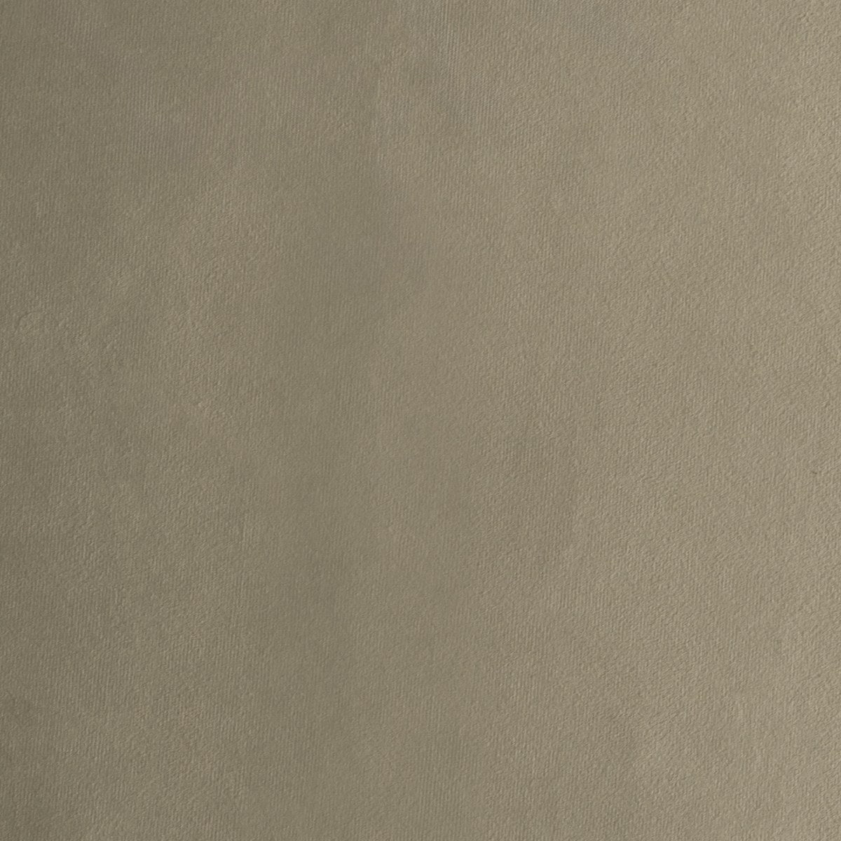 Taupe Velvet #8